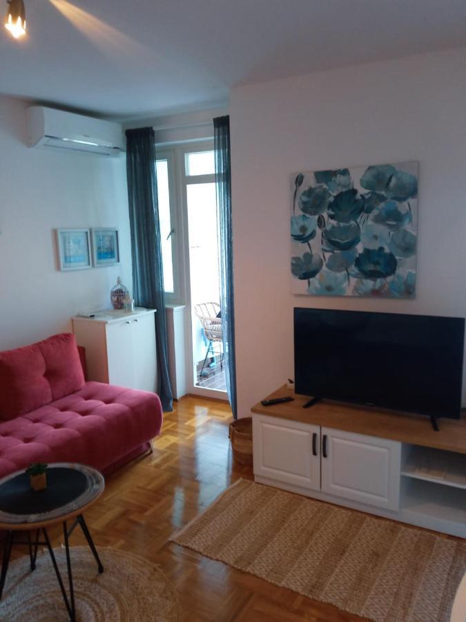 Apartman Vesna 2 Persons นยีวีเซ ภายนอก รูปภาพ